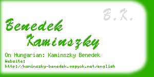 benedek kaminszky business card